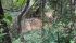 WhatsApp Image 2025-06-11 at 15.41.44 (2).jpeg
